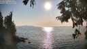 ./images/koeye/fitz-hugh/20250831/fitz-hugh20250831_173506M.jpg
