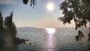 ./images/koeye/fitz-hugh/20250831/fitz-hugh20250831_174010M.jpg