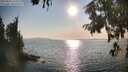 ./images/koeye/fitz-hugh/20250831/fitz-hugh20250831_174510M.jpg
