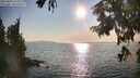 ./images/koeye/fitz-hugh/20250831/fitz-hugh20250831_175010M.jpg