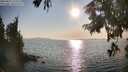 ./images/koeye/fitz-hugh/20250831/fitz-hugh20250831_175510M.jpg