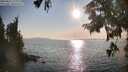 ./images/koeye/fitz-hugh/20250831/fitz-hugh20250831_180012M.jpg