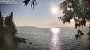 ./images/koeye/fitz-hugh/20250831/fitz-hugh20250831_180508M.jpg