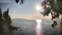 ./images/koeye/fitz-hugh/20250831/fitz-hugh20250831_181010M.jpg