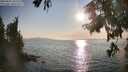 ./images/koeye/fitz-hugh/20250831/fitz-hugh20250831_181511M.jpg