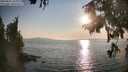 ./images/koeye/fitz-hugh/20250831/fitz-hugh20250831_183011M.jpg