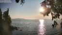 ./images/koeye/fitz-hugh/20250831/fitz-hugh20250831_183508M.jpg