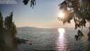 ./images/koeye/fitz-hugh/20250831/fitz-hugh20250831_184010M.jpg
