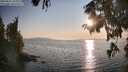 ./images/koeye/fitz-hugh/20250831/fitz-hugh20250831_185008M.jpg