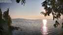 ./images/koeye/fitz-hugh/20250831/fitz-hugh20250831_185510M.jpg