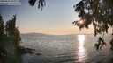 ./images/koeye/fitz-hugh/20250831/fitz-hugh20250831_190009M.jpg