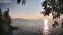 ./images/koeye/fitz-hugh/20250831/fitz-hugh20250831_190508M.jpg