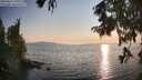 ./images/koeye/fitz-hugh/20250831/fitz-hugh20250831_191009M.jpg