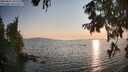 ./images/koeye/fitz-hugh/20250831/fitz-hugh20250831_191509M.jpg