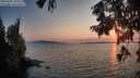 ./images/koeye/fitz-hugh/20250831/fitz-hugh20250831_195008M.jpg