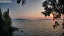 ./images/koeye/fitz-hugh/20250831/fitz-hugh20250831_200508M.jpg
