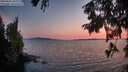 ./images/koeye/fitz-hugh/20250831/fitz-hugh20250831_202009M.jpg
