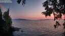 ./images/koeye/fitz-hugh/20250831/fitz-hugh20250831_202506M.jpg