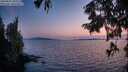 ./images/koeye/fitz-hugh/20250831/fitz-hugh20250831_203508M.jpg