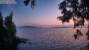 ./images/koeye/fitz-hugh/20250831/fitz-hugh20250831_204009M.jpg