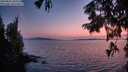 ./images/koeye/fitz-hugh/20250831/fitz-hugh20250831_204509M.jpg
