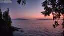 ./images/koeye/fitz-hugh/20250831/fitz-hugh20250831_205010M.jpg