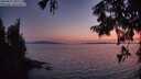 ./images/koeye/fitz-hugh/20250831/fitz-hugh20250831_205508M.jpg