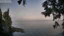 ./images/koeye/fitz-hugh/20250901/fitz-hugh20250901_080510M.jpg