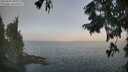 ./images/koeye/fitz-hugh/20250901/fitz-hugh20250901_091011M.jpg