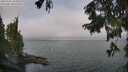 ./images/koeye/fitz-hugh/20250901/fitz-hugh20250901_104010M.jpg