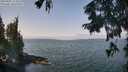 ./images/koeye/fitz-hugh/20250901/fitz-hugh20250901_113510M.jpg