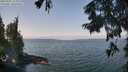 ./images/koeye/fitz-hugh/20250901/fitz-hugh20250901_114010M.jpg