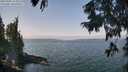 ./images/koeye/fitz-hugh/20250901/fitz-hugh20250901_115010M.jpg
