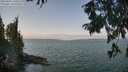 ./images/koeye/fitz-hugh/20250901/fitz-hugh20250901_120510M.jpg