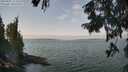 ./images/koeye/fitz-hugh/20250901/fitz-hugh20250901_122510M.jpg