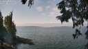 ./images/koeye/fitz-hugh/20250901/fitz-hugh20250901_123510M.jpg