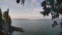 ./images/koeye/fitz-hugh/20250901/fitz-hugh20250901_124010M.jpg
