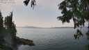 ./images/koeye/fitz-hugh/20250901/fitz-hugh20250901_141010M.jpg