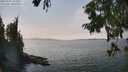 ./images/koeye/fitz-hugh/20250901/fitz-hugh20250901_143012M.jpg