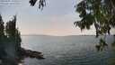 ./images/koeye/fitz-hugh/20250901/fitz-hugh20250901_145510M.jpg