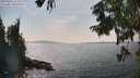 ./images/koeye/fitz-hugh/20250901/fitz-hugh20250901_153511M.jpg