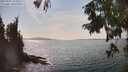 ./images/koeye/fitz-hugh/20250901/fitz-hugh20250901_154509M.jpg