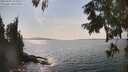 ./images/koeye/fitz-hugh/20250901/fitz-hugh20250901_155011M.jpg