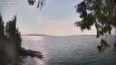./images/koeye/fitz-hugh/20250901/fitz-hugh20250901_155510M.jpg
