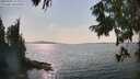 ./images/koeye/fitz-hugh/20250901/fitz-hugh20250901_160012M.jpg