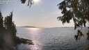 ./images/koeye/fitz-hugh/20250901/fitz-hugh20250901_162510M.jpg