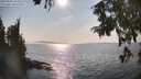 ./images/koeye/fitz-hugh/20250901/fitz-hugh20250901_164511M.jpg