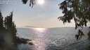 ./images/koeye/fitz-hugh/20250901/fitz-hugh20250901_165011M.jpg