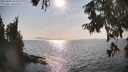 ./images/koeye/fitz-hugh/20250901/fitz-hugh20250901_165510M.jpg