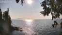 ./images/koeye/fitz-hugh/20250901/fitz-hugh20250901_170011M.jpg